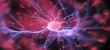 From Determinism to Probabilism: The AI Paradigm Shift